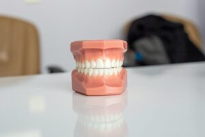 teeth model